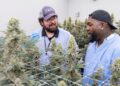 David Ortiz lanza línea de productos "Papi Cannabis"