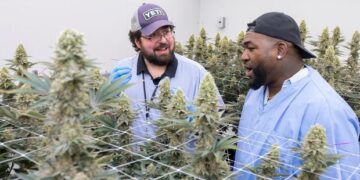 David Ortiz lanza línea de productos "Papi Cannabis"