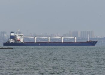 El primer barco con grano ucraniano sale del puerto de Odesa
