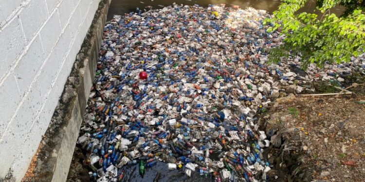 Empresa Seaboard recoge 900 kilos de basura al mes en ribera del Río Ozama