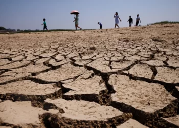 China admitió que enfrenta una “grave amenaza” a la cosecha de otoño por la sequía y la ola de calor récord