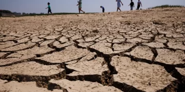 China admitió que enfrenta una “grave amenaza” a la cosecha de otoño por la sequía y la ola de calor récord