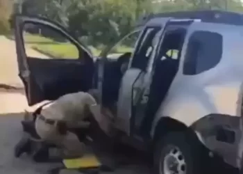 Un jefe prorruso en Zaporizhzhia murió al estallar un explosivo en su auto
