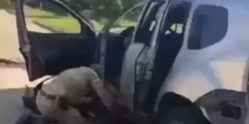 Un jefe prorruso en Zaporizhzhia murió al estallar un explosivo en su auto