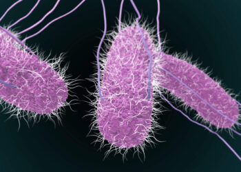 Salmonella sp. y E. coli las bacterias más detectadas en alimentos procedentes del país