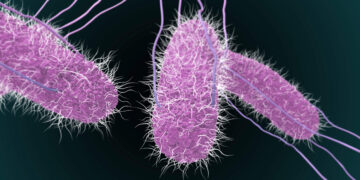 Salmonella sp. y E. coli las bacterias más detectadas en alimentos procedentes del país