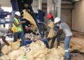 Pro Consumidor destruye más de 300 mil productos no aptos para consumo