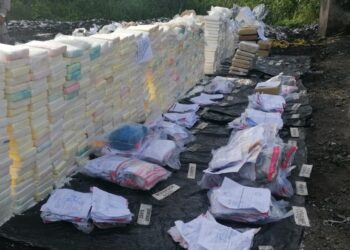 El Inacif incinera más de una tonelada de drogas