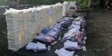 El Inacif incinera más de una tonelada de drogas