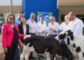 Ministro Limber Cruz recibe 25 becerros donados por Grupo Rica para mejorar la genética de la ganadería lechera dominicana