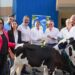 Ministro Limber Cruz recibe 25 becerros donados por Grupo Rica para mejorar la genética de la ganadería lechera dominicana