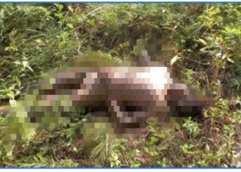 Encuentran hombre muerto en unos matorrales en Higüey