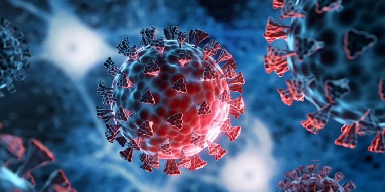 Salud Pública registra 216 nuevos casos de coronavirus