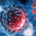 Salud Pública registra 216 nuevos casos de coronavirus