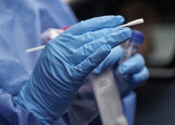 Detectan en China 35 casos en humanos de un nuevo virus de origen animal