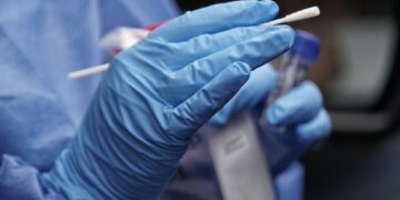 Detectan en China 35 casos en humanos de un nuevo virus de origen animal