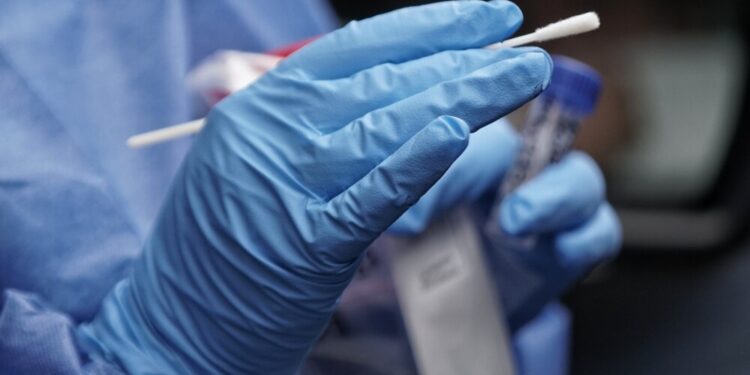 Detectan en China 35 casos en humanos de un nuevo virus de origen animal