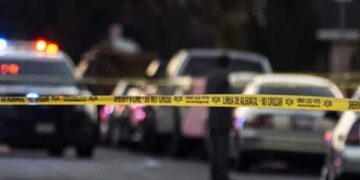 Dos policías son heridos de bala en un tiroteo en el norte de Puerto Rico