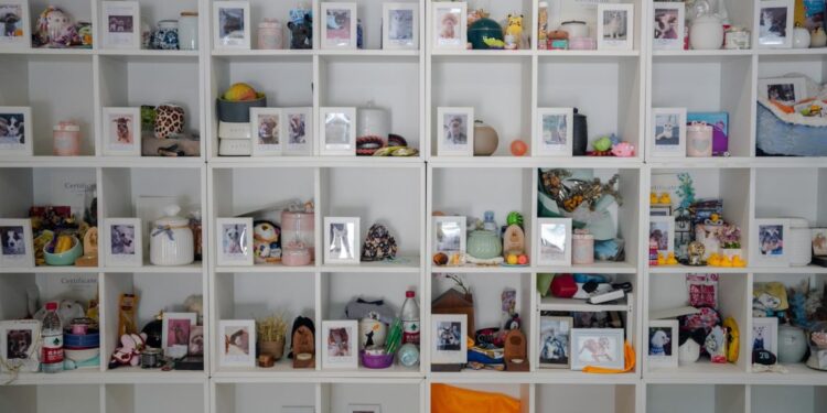 Dar el último adiós a las mascotas, un negocio en auge en China