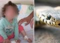 Con mordidas, niña mata a serpiente que la atacó