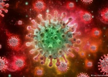 Viruela del mono supera 50.000 casos a nivel mundial