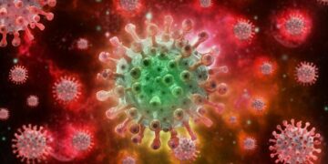 Viruela del mono supera 50.000 casos a nivel mundial