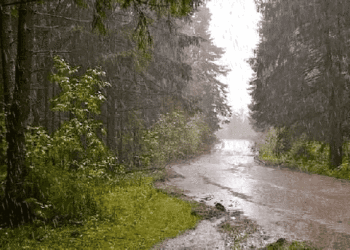 Pronostican chubascos locales; Earl disminuye su velocidad