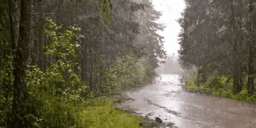 Pronostican chubascos locales; Earl disminuye su velocidad