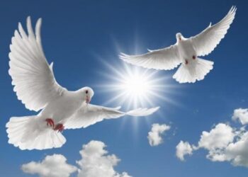 21 de septiembre, Día Internacional de la Paz