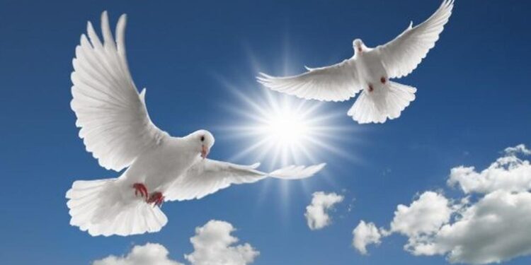 21 de septiembre, Día Internacional de la Paz