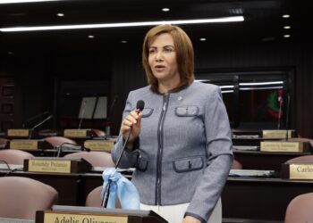 Diputada Adelis Olivares somete proyecto de resolución que protege salud mental de empleados públicos