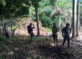 Policía Nacional detiene cinco hombres por corte y quema de árboles e invasión de terrenos