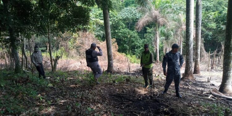 Policía Nacional detiene cinco hombres por corte y quema de árboles e invasión de terrenos
