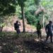 Policía Nacional detiene cinco hombres por corte y quema de árboles e invasión de terrenos