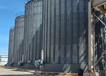 Empresarios agropecuarios denuncian vandalizan camiones cargados con insumos desde el puerto Haina