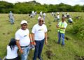 Colaboradores de Edeeste realizan jornada de reforestación en San Luis
