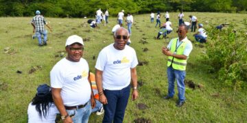 Colaboradores de Edeeste realizan jornada de reforestación en San Luis