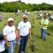Colaboradores de Edeeste realizan jornada de reforestación en San Luis