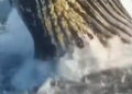 Ballena jorobada sorprende a unos pescadores en Nueva Jersey