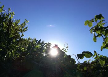 Escasas lluvias por sistema de alta presión