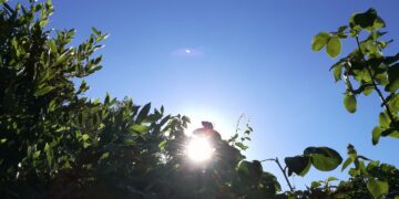 Escasas lluvias por sistema de alta presión