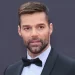 Niegan orden de protección al sobrino de Ricky Martin