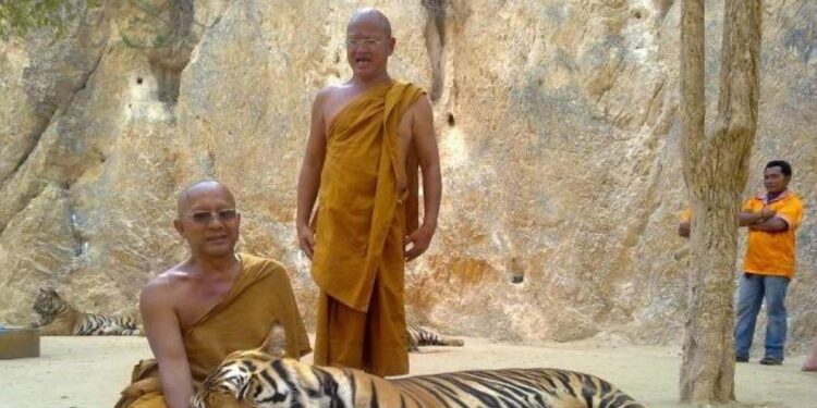 Un templo tailandés se queda sin monjes al dar todos positivo por drogas