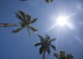 Cielo mayormente soleado con algunos chubascos para la tarde