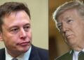 Musk restablece ciertas cuentas de Twitter pero aún no decide nada sobre la de Trump
