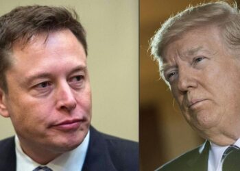 Musk restablece ciertas cuentas de Twitter pero aún no decide nada sobre la de Trump