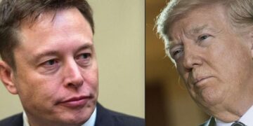 Musk restablece ciertas cuentas de Twitter pero aún no decide nada sobre la de Trump