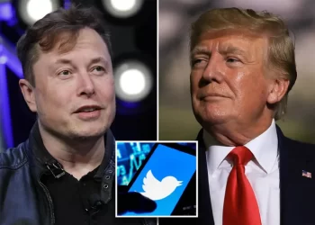 Elon Musk restableció la cuenta en Twitter del ex presidente Donald Trump