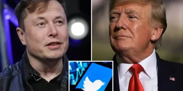 Elon Musk restableció la cuenta en Twitter del ex presidente Donald Trump