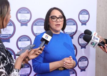 Adoexpo: "Estadísticas del censo serán valiosa herramienta de medición y planificación"